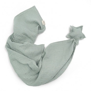 TWINKLE SAGE STAR DOUDOU