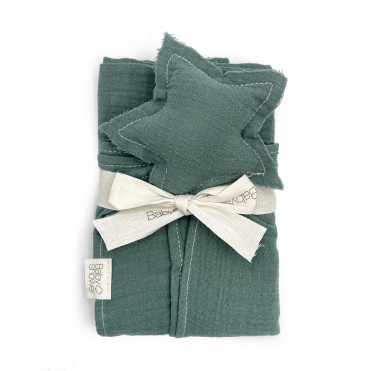 STAR DOUDOU FOREST POWDER