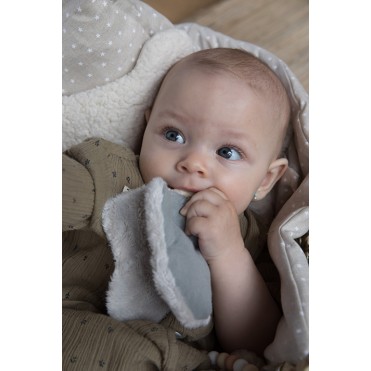 BUTTERFLY TEETHER GREY POWDER