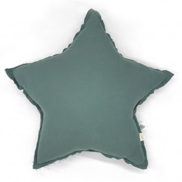 BIGSTAR CUSHION FOREST POWDER