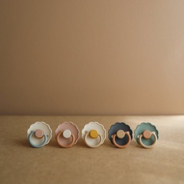 PACK 2 PACIFIERS FRIGG...