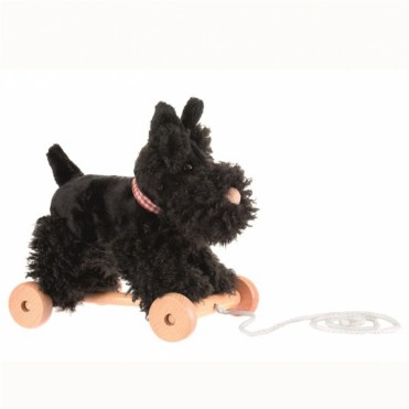 PERRITO DE ARRASTRE WALTER