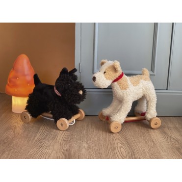 PERRITO DE ARRASTRE EGMONT...