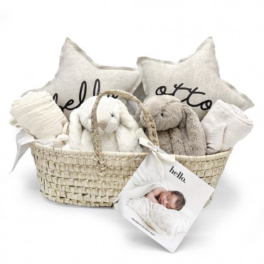 TWINS NEWBORN GIFT BASKET