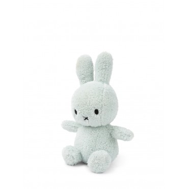 SOFT GREEN MIFFY TERRY SMALL