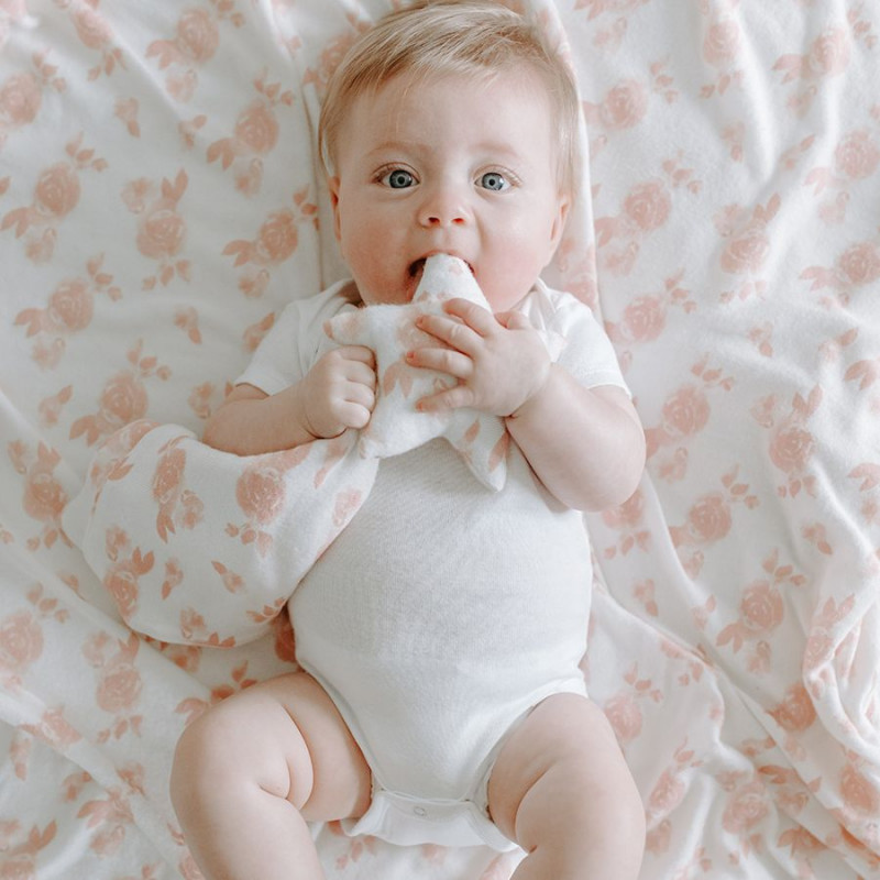 Aden and online aden swaddle blankets