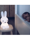 MIFFY FIRST LIGHT