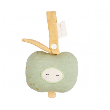 GREEN APPLE ACTIVITY TOY