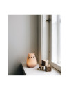 VEILLEUSE MIFFY STAR LIGHT
