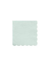 ECO MINT SMALL PAPER NAPKINS